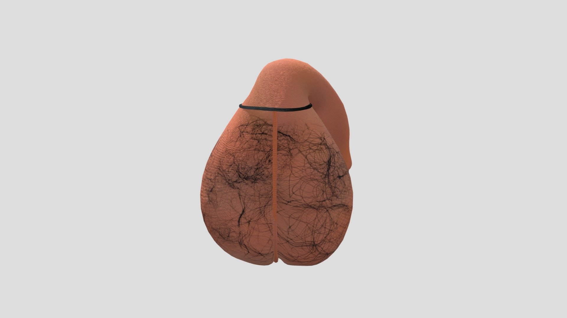HungChia_Dick — Sketchfab embed 3D viewer