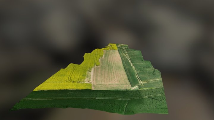 Agricultural field in Northern France 3D Model