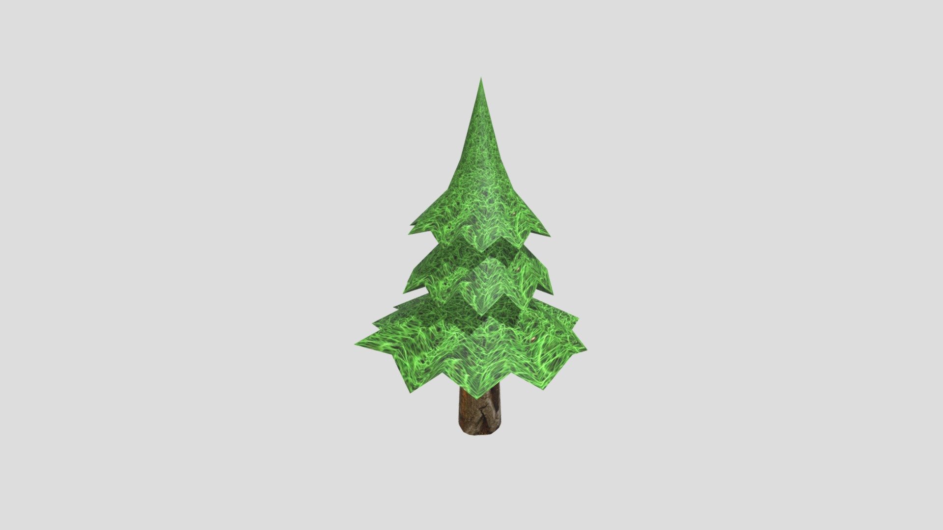 My Tree