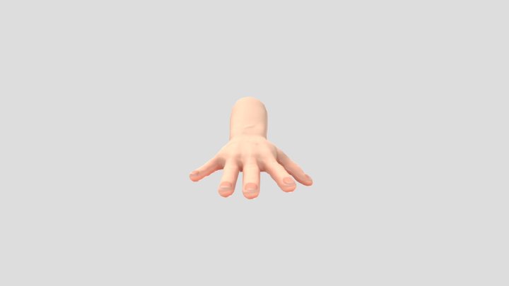 Hand Model 3D Model