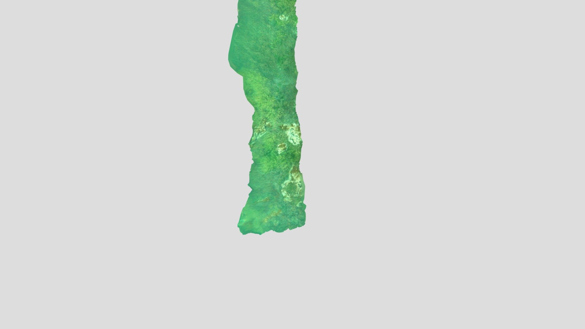 Seagrass