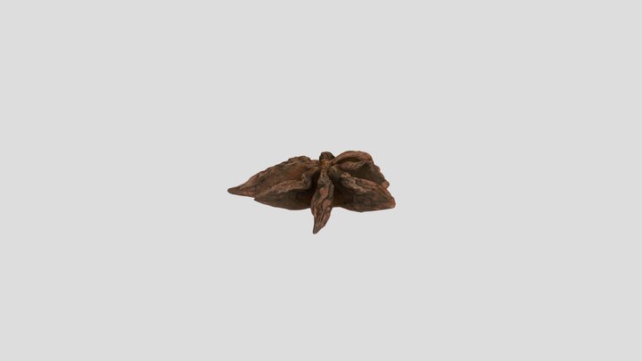 Star anise 3D Model