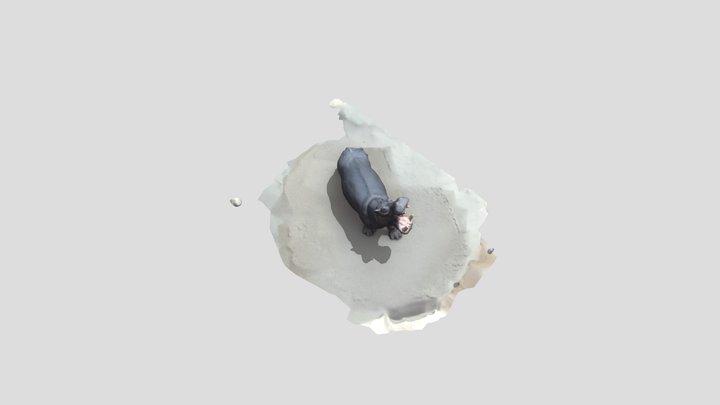 Rhino 3D 3D Model