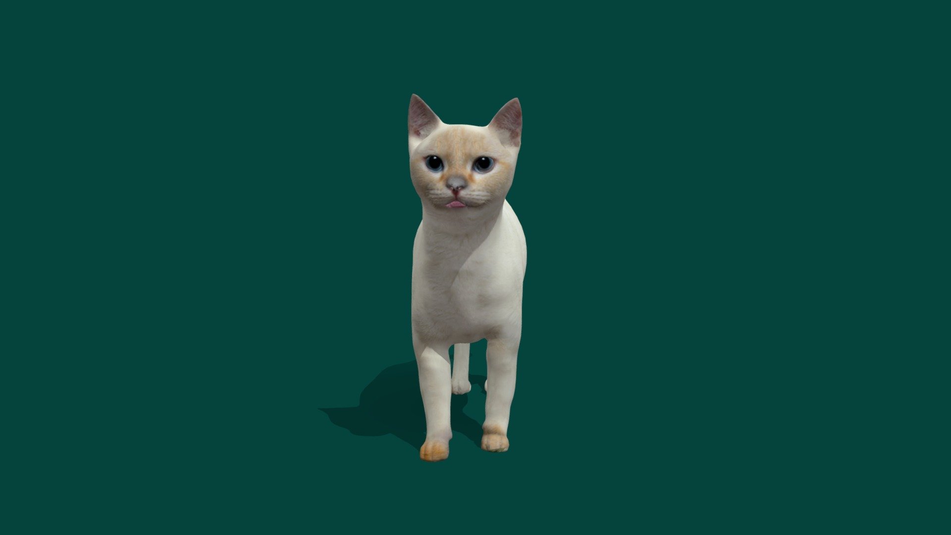 Flame Point Siamese Cat - Buy Royalty Free 3D model by Nyilonelycompany ...