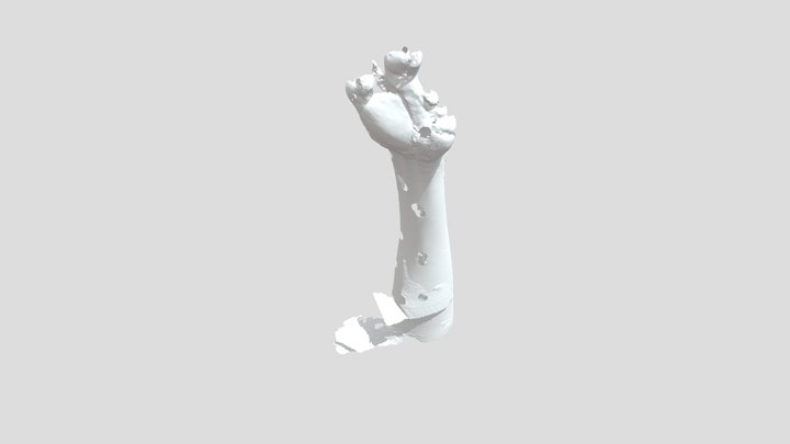 Mesh Scan 11-7 Attempt 1 STL 3D Model