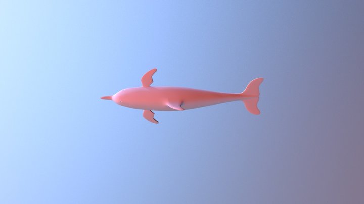 Dolphin 3d Model 3D Model