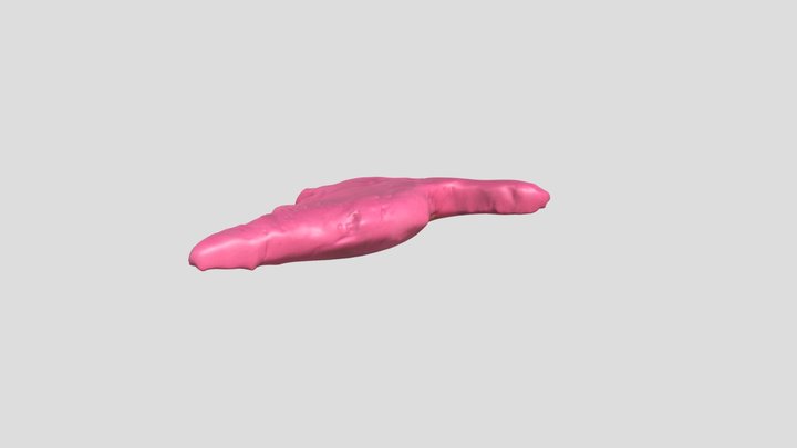 dino nugget by zahra – Free 3D Model STL