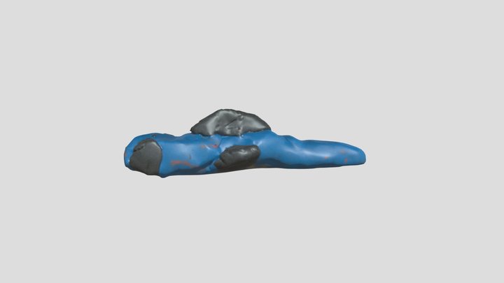 doris the dolphin – Free 3D Model STL