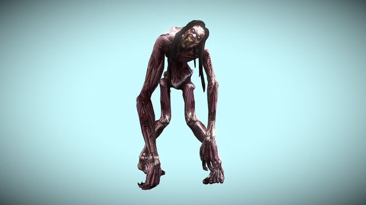 Zombies: Witch 3D Model