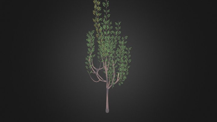 tree_lowpoly 3D Model
