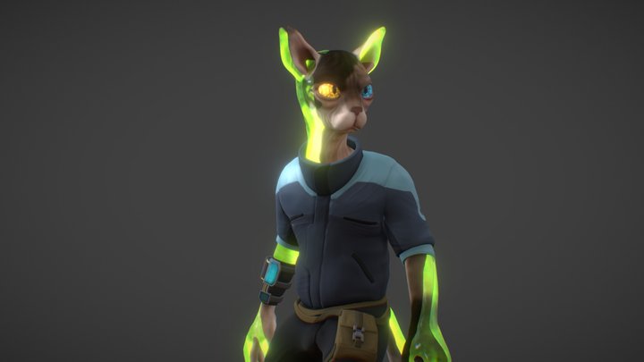 Schrödinger's Cat 3D Model
