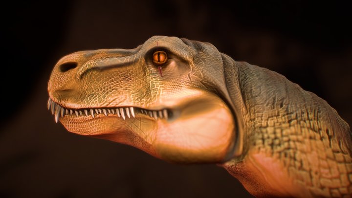 Prestosuchus Cinquenisis Head 3D Model