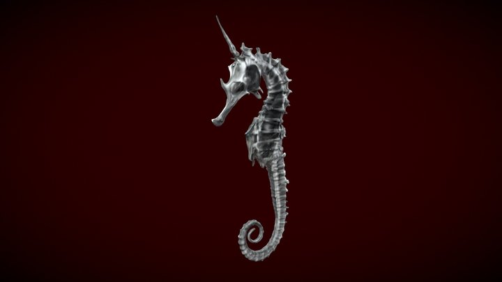 Seahorse Unicorn | Bones