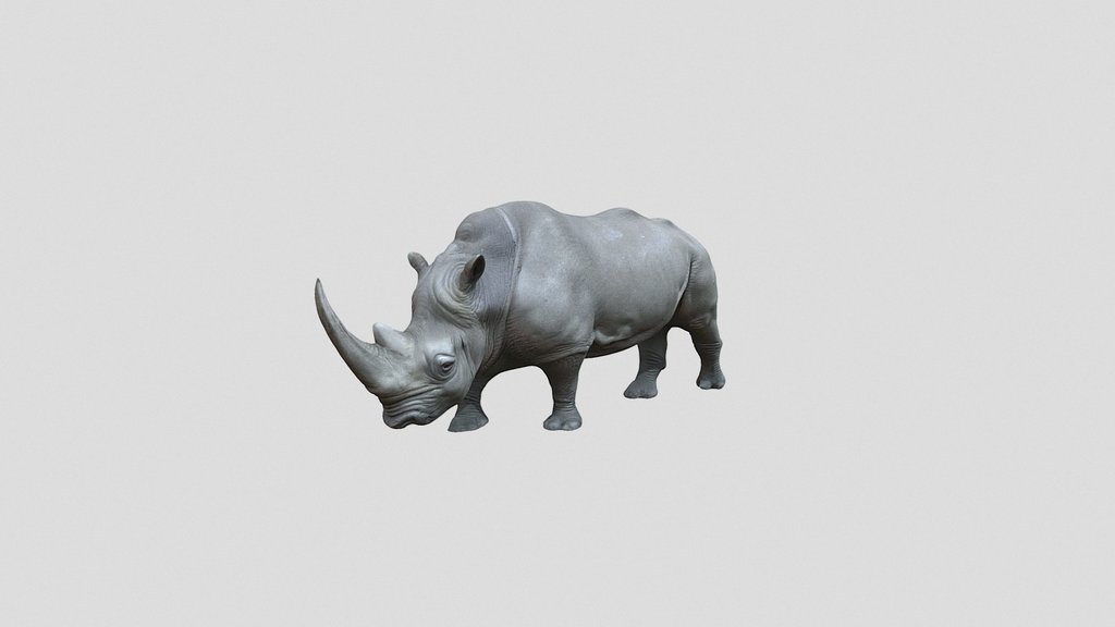 rhinoceros 3d model