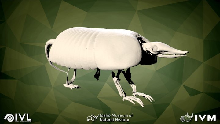 IMNH R-801 Armadillo – Modello 3D gratuito STL