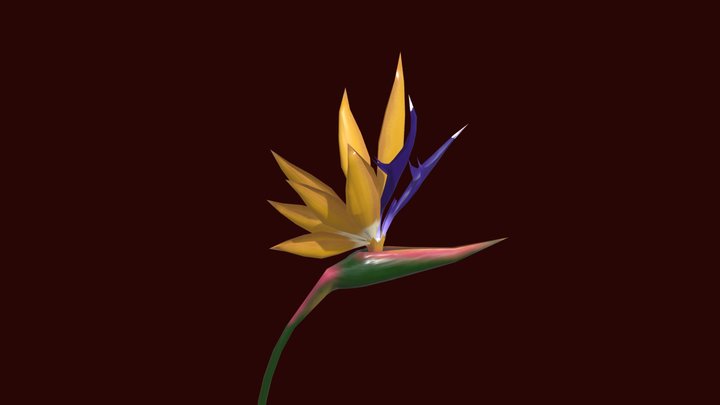 Bird-Of-ParadiseFlower OBJ 3D Model