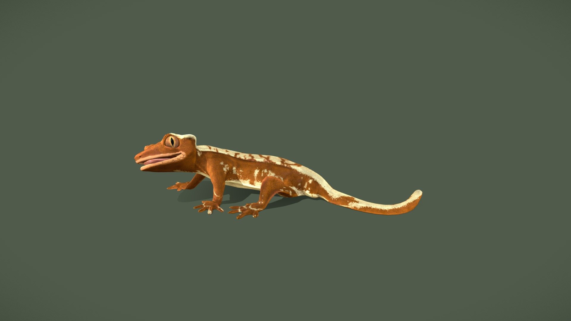 Crested Gecko