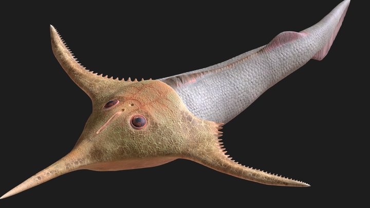 Pterogonaspis 3D Model