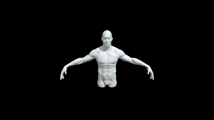 Body 2 3D Model