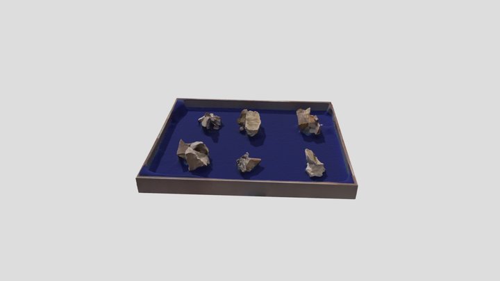 袁艺 3D Model