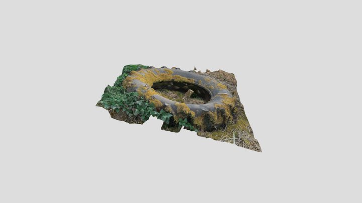Abandoned Tire – Gratis 3D-model STL