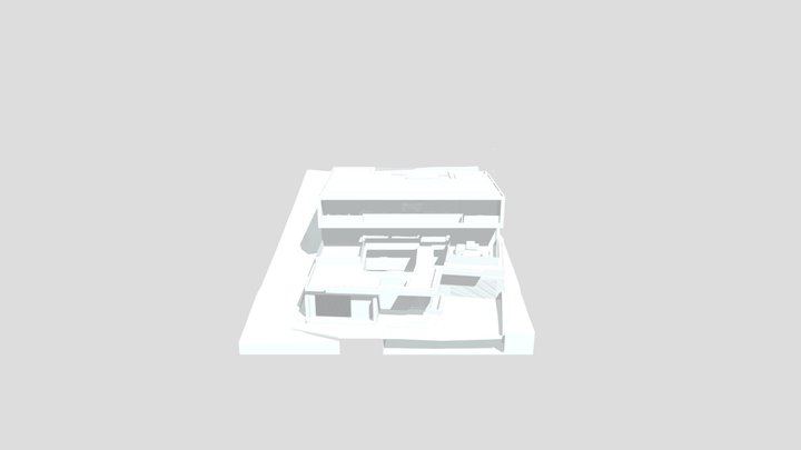 P Model 3D Model