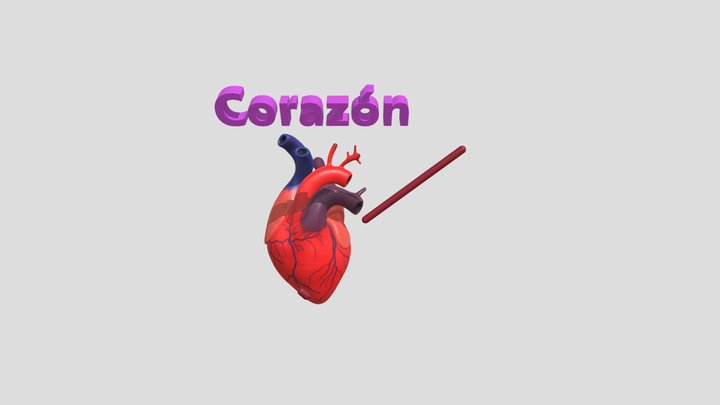 Corazon 3D Model