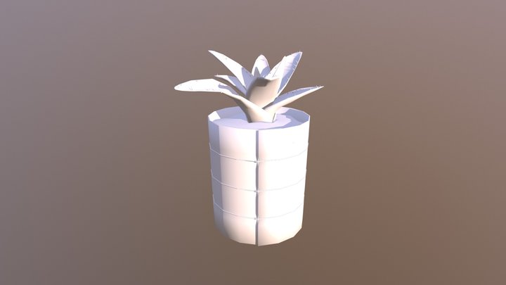 Small Cactus 3D Model