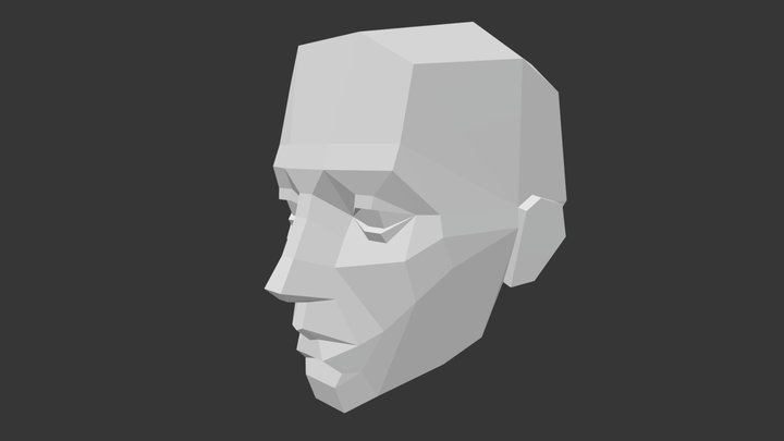Female Head plane 3D Model