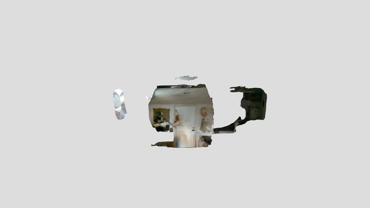 PolyCam-Trial1 3D Model