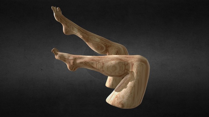 Limb 3D Model