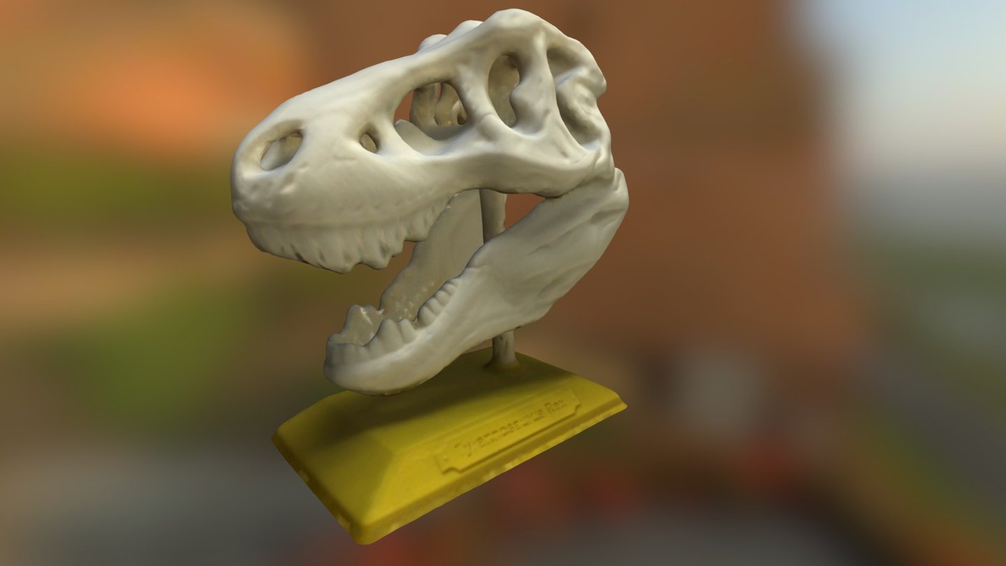 T-Rex Skull