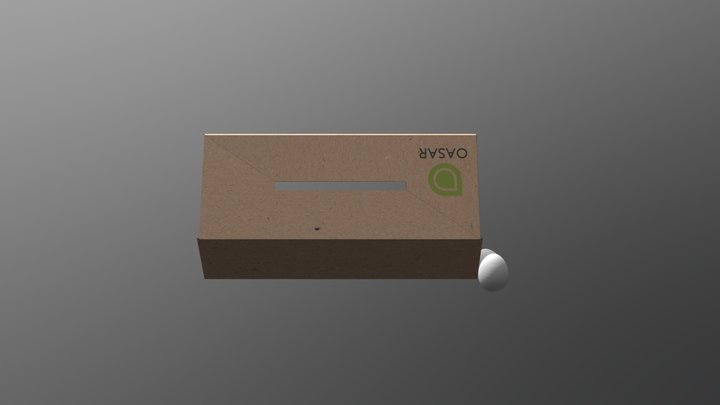 Carton Huevos 3D Model
