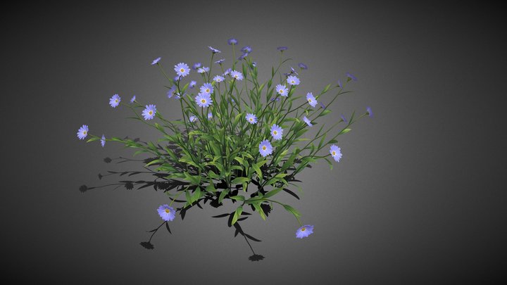 flower plant 3D Model