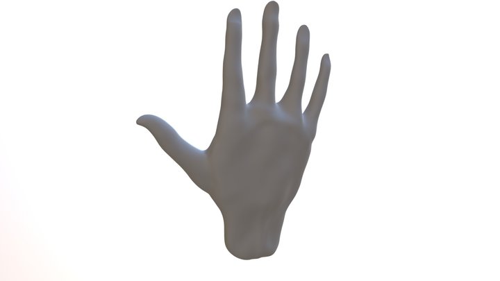 Righthand 3D models - Sketchfab