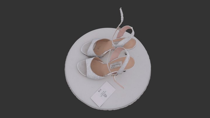 Tango shoes 3D Model