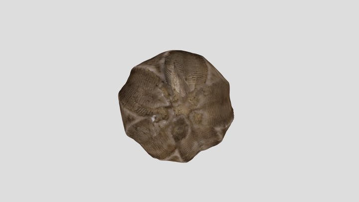 GSCI-PA-1509 3D Model
