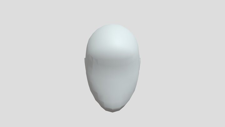 Head Occluder 3D Model
