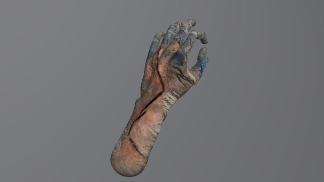 Rock hand 3D Model