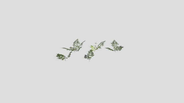Bush 3D Model