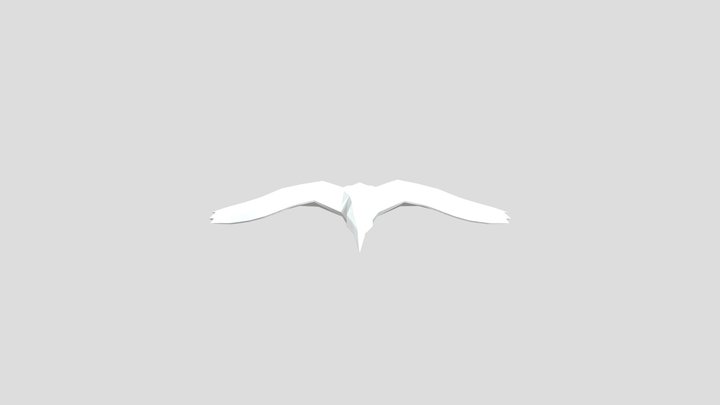 Bird 3D Model