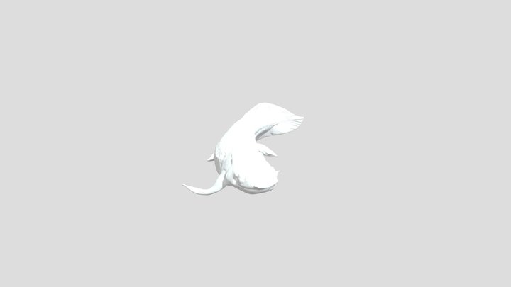 Lungfish Display – Modèle 3D gratuit STL