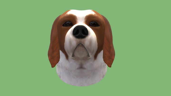 Lovely Dog (Cavalier King Charles Spaniel) 3D Model
