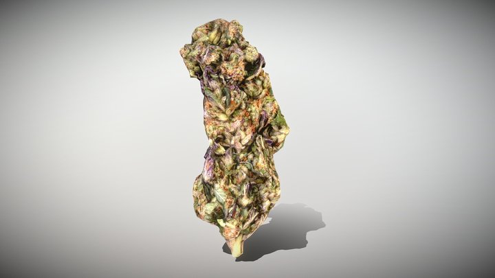 Marijuana Bud 3 - Photoscanned PBR 3D Model