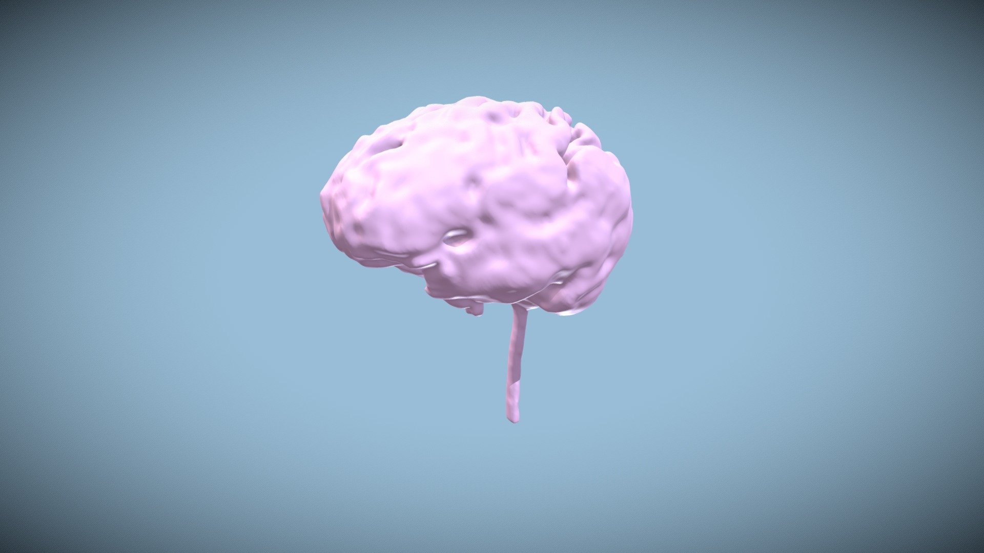 Brain & Spinal Cord