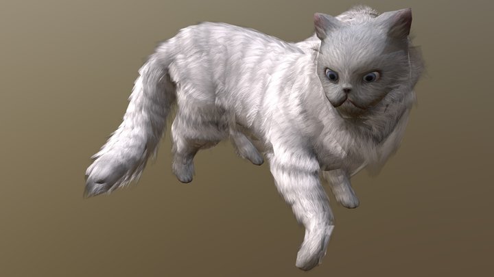 Persiancat001 3D Model