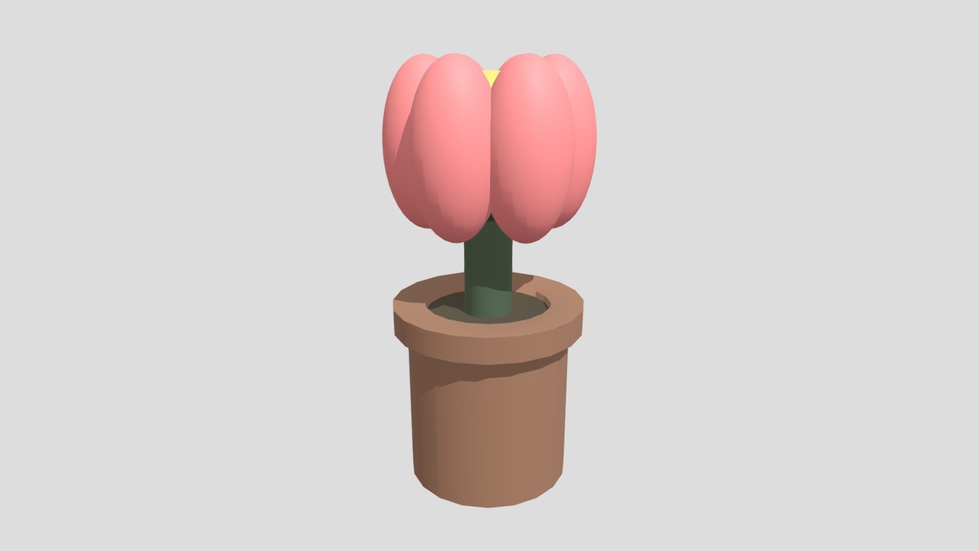 Pumpkin Plant2