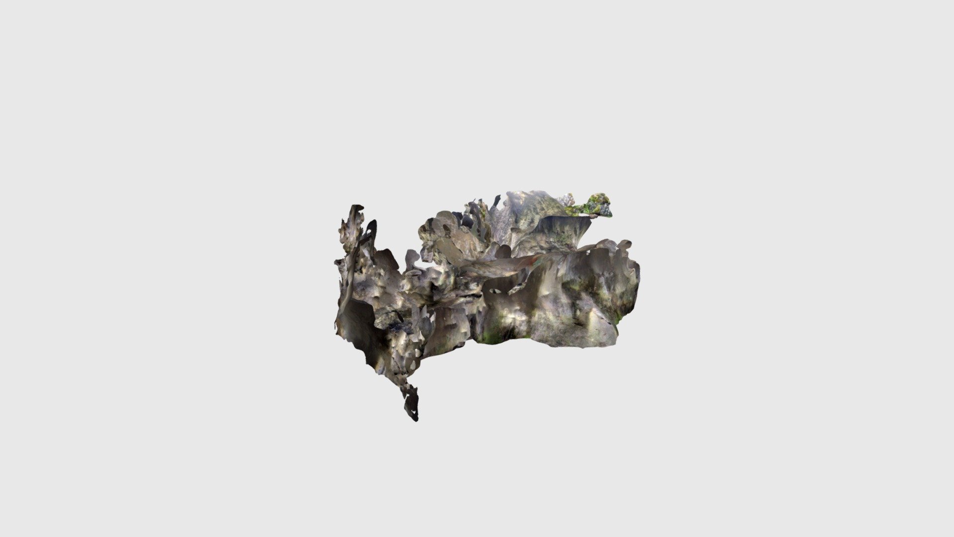 Koaiko kobea — Sketchfab embed 3D viewer