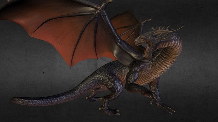Dragon 3D Model