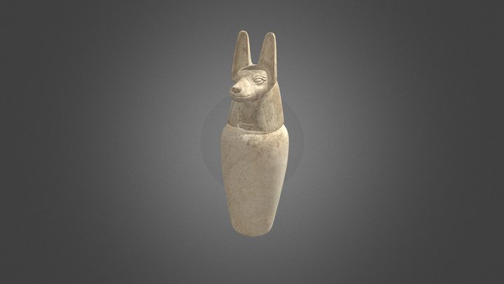 Canopic Jar (Jackal) 3D Model